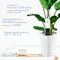 Xiaomi HHCC Mi Flower Care Max Sensor, Feuchtesensor (verschiedene Markenbezeichnungen) Vorschaubild
