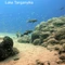 JBL Aquadur Malawi-Tanganjika, Aufhärtungssalz-Wasseraufbereiter für Malawi und Tanganjikasee-Aquarien Vorschaubild