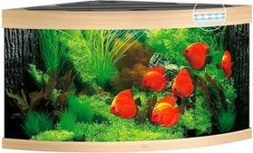 Juwel Trigon 350 LED Aquarium-Set, helles Holz, 350l