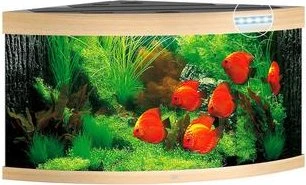 Juwel Trigon 350 LED Aquarium-Set, helles Holz, 350l