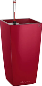 Lechuza Maxi-Cubi scarlet rot hochglanz