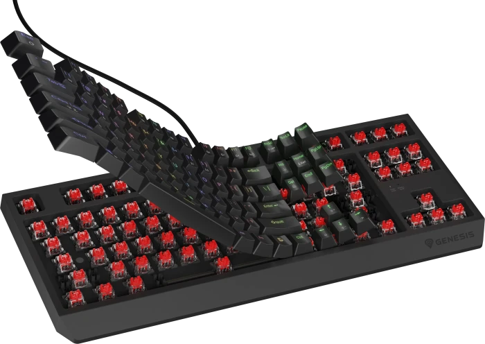 Genesis Thor 230 TKL, schwarz, LEDs RGB, hot-swap, Gaote Outemu BROWN, USB, US