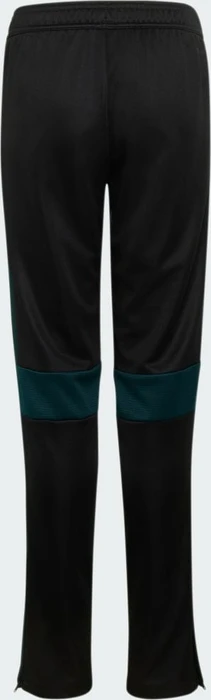 adidas Tiro 25 Essentials Trainingshose lang black/aurora ivy (Junior)