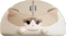 Akko x Waigua Cat Theme Wireless Mouse, Ragdoll Cat, USB Vorschaubild