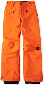 O'Neill Anvil Skihose lang puffin's bill (Junior)