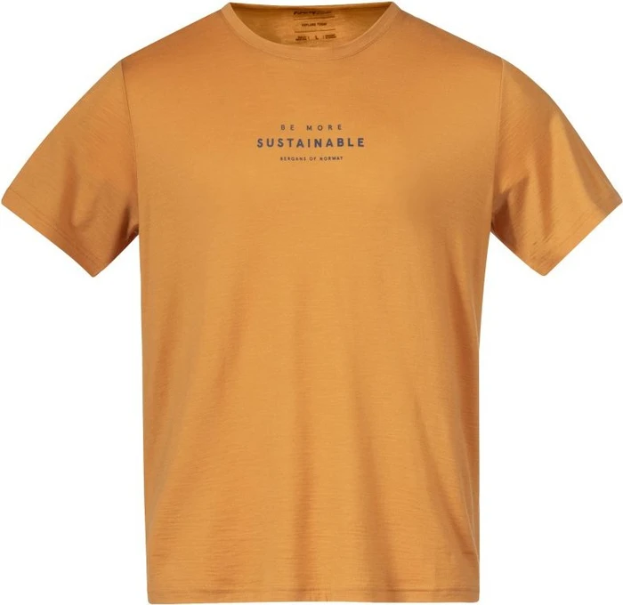 Bergans Graphic Wool Tee Funktionsshirt kurzarm golden field/north sea blue (Herren)
