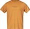 Bergans Graphic Wool Tee Funktionsshirt kurzarm (Herren) Vorschaubild