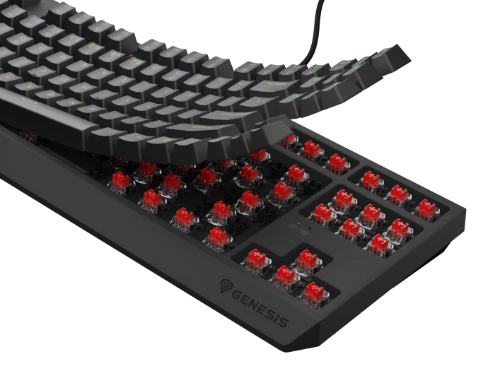 Genesis Thor 230 TKL, schwarz, LEDs RGB, hot-swap, Gaote Outemu BROWN, USB, US