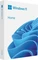 Microsoft Windows 11 Home Vorschaubild