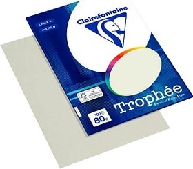 Clairefontaine Trophée Universalpapier matt lichtgrau, A4, 80g/m², 100 Blatt