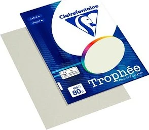 Clairefontaine Trophée Universalpapier matt lichtgrau, A4, 80g/m², 100 Blatt