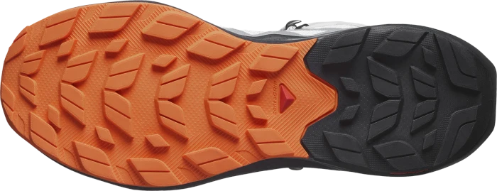 Salomon Elixir Activ Mid GTX glacier grey/phantom/dragon fire (Herren)