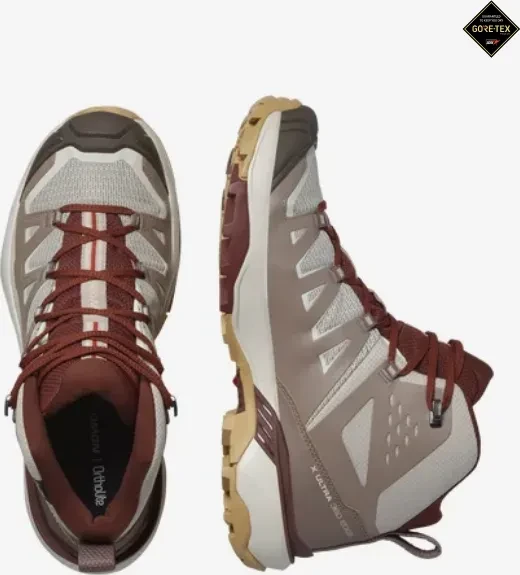 Salomon X Ultra 360 Edge Mid GTX silver cloud/iron/rum raisin (Damen)