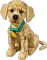 LEGO Icons - Golden Retriever Welpe Vorschaubild