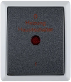 REV Ritter AquaForm Heizung Hauptschalter AP IP 44, grau