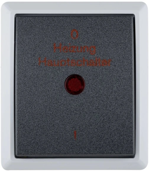 REV Ritter AquaForm Heizung Hauptschalter AP IP 44, grau