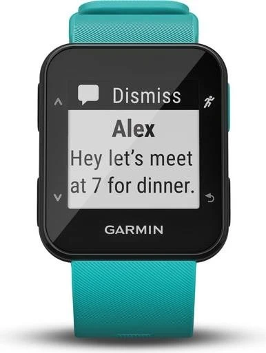 Garmin Forerunner 30 türkis