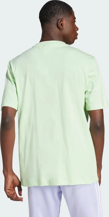 adidas Adicolor Trefoil T-Shirt kurzarm semi green spark (Herren)
