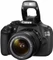 Canon EOS 1200D mit Objektiv EF-S 18-55mm 3.5-5.6 IS II Vorschaubild