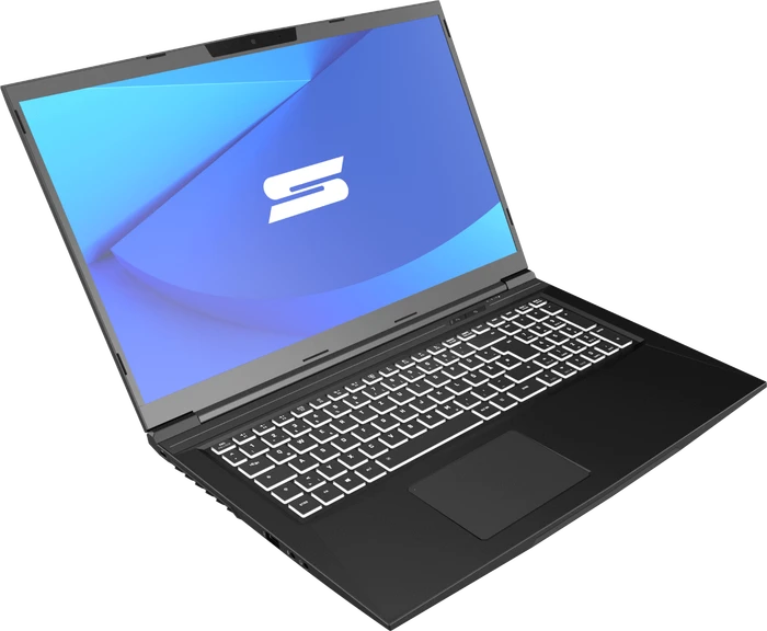 Schenker Media 17-E21, Core i7-10870H, 8GB RAM, 250GB SSD, GeForce RTX 3060, DE
