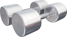 Gorilla Sports Chrom Kurzhantel Set 2x 12.5kg