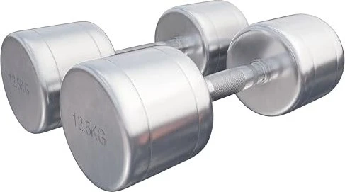 Gorilla Sports Chrom Kurzhantel Set 2x 12.5kg