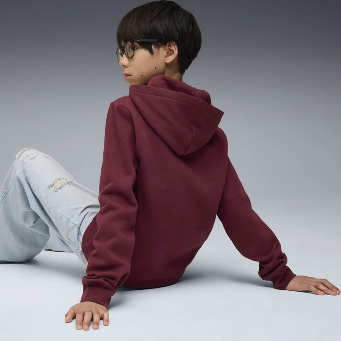 Puma ESS No. 1 Logo Fleece Hoodie ruby shimmer (Junior)