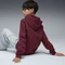 Puma ESS No. 1 Logo Fleece Hoodie ruby shimmer (Junior) Vorschaubild