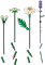 LEGO Botanicals - Gänseblümchen Vorschaubild