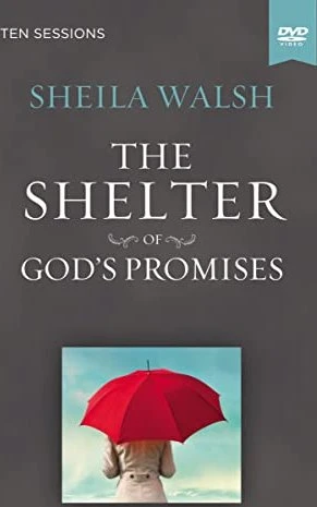 Shelter (2010) (DVD)