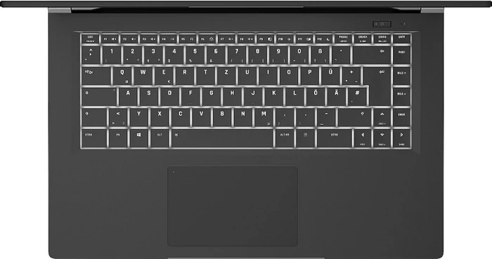 Schenker VIA 15-E20ydv, Ryzen 5 3500U, 8GB RAM, 250GB SSD, DE