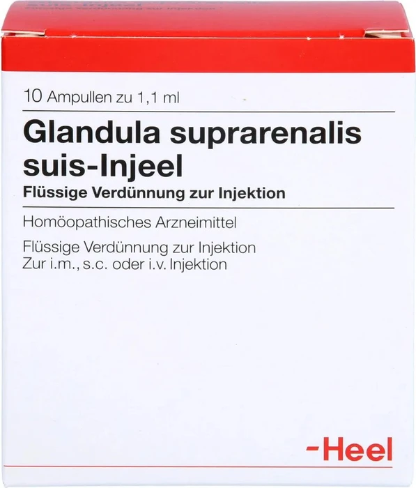 Heel Glandula Suprarenalis suis Injeel Ampullen, 10 Stück