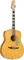 Fender Palomino Vintage Vorschaubild