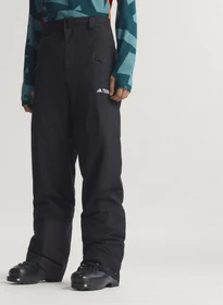 adidas Terrex Multi 2L Climaproof Insulated Skihose lang schwarz (Herren)