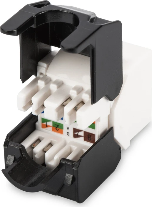 Digitus Keystone Modul RJ-45 Buchse via Verlegekabel Cat6, 2er-Pack