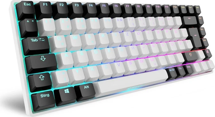 Sharkoon Skiller SGK50 S3 White, schwarz/weiß, LEDs RGB, hot-swap, Gateron RED, USB, DE