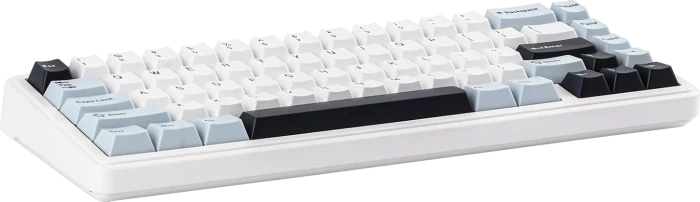 Epomaker x Aula F65, Light Blue, LEDs RGB, hot-swap, Epomaker Flamingo, USB/Bluetooth, US
