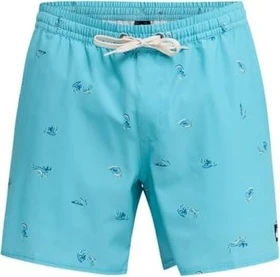 Quiksilver Stretch Printed Volley 16" Badeshorts aqua/spaced out (Herren)