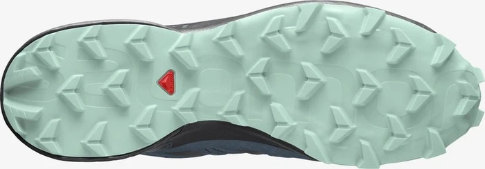 Salomon Speedcross 5 GTX black/mallard blue/yucca (Damen)