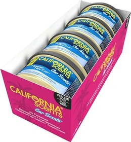 California Scents California Car Scents Newport New Car
