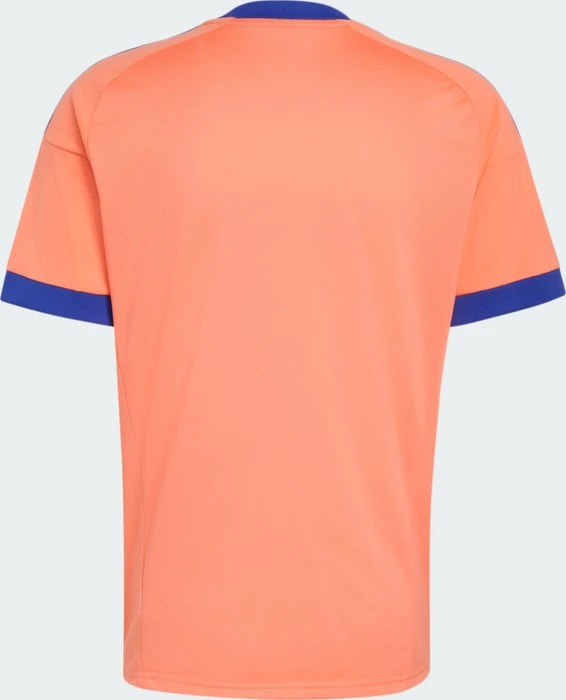 adidas FIFA WM 2026 Deutschland Torwart Auswärtstrikot kurzarm coral fusion (Herren)