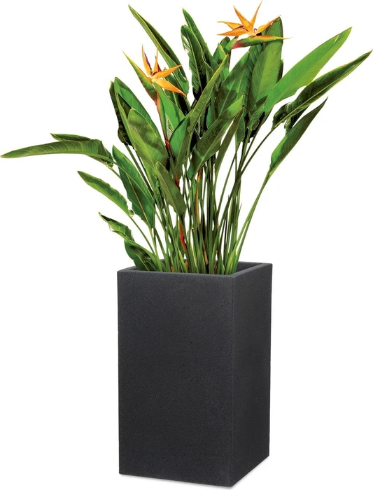 Scheurich C-Cube 240 High