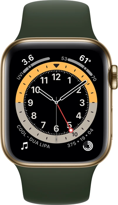 Apple Watch Series 6 (GPS + Cellular) 40mm Edelstahl gold mit Sportarmband zyperngrün