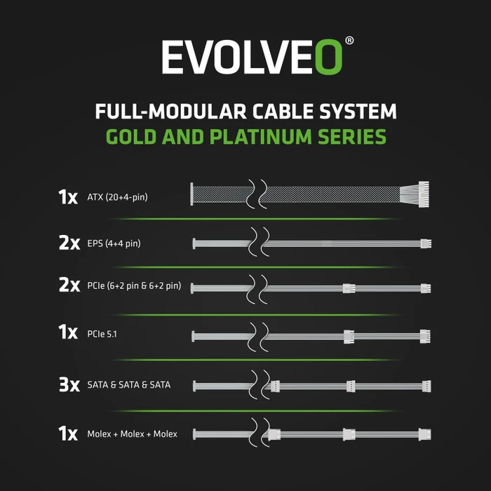 Evolveo Gold Series G650 schwarz 650W, ATX 3.1