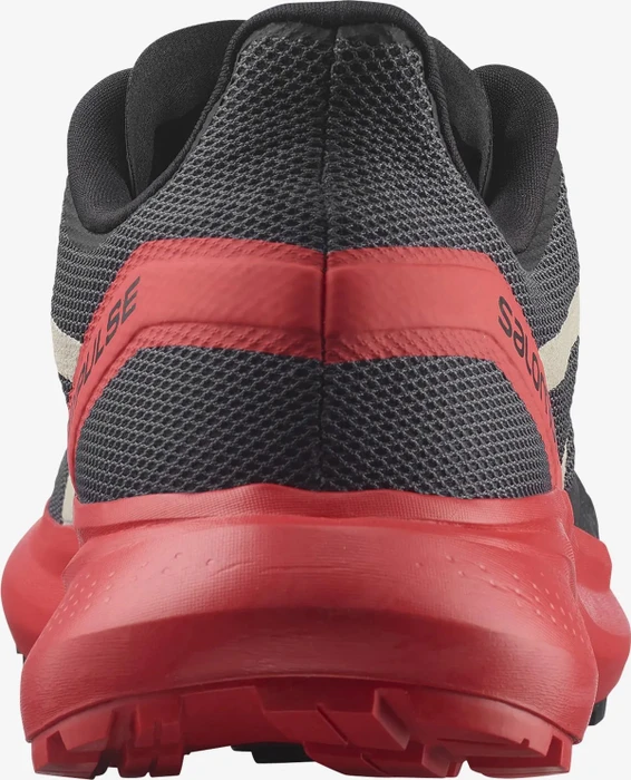 Salomon Hypulse magnet/poppy red/black (Herren)