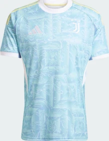 adidas Juventus Turin 2025/2026 Auswärtstrikot ash blue (Herren)