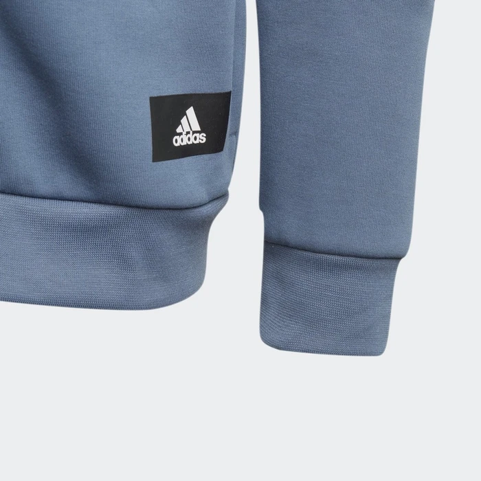 adidas Future Icons 3-Streifen Hoodie wonder steel/white (Junior)