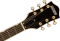 Gretsch G5655TG Electromatic CB Single Barrel Burst Vorschaubild