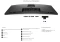 Dell Pro 34 Plus USB-C Hub Monitor P3425WE, 34.1" Vorschaubild