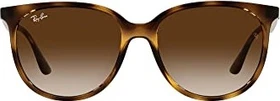 Ray-Ban RB4378 54mm polished havana/brown